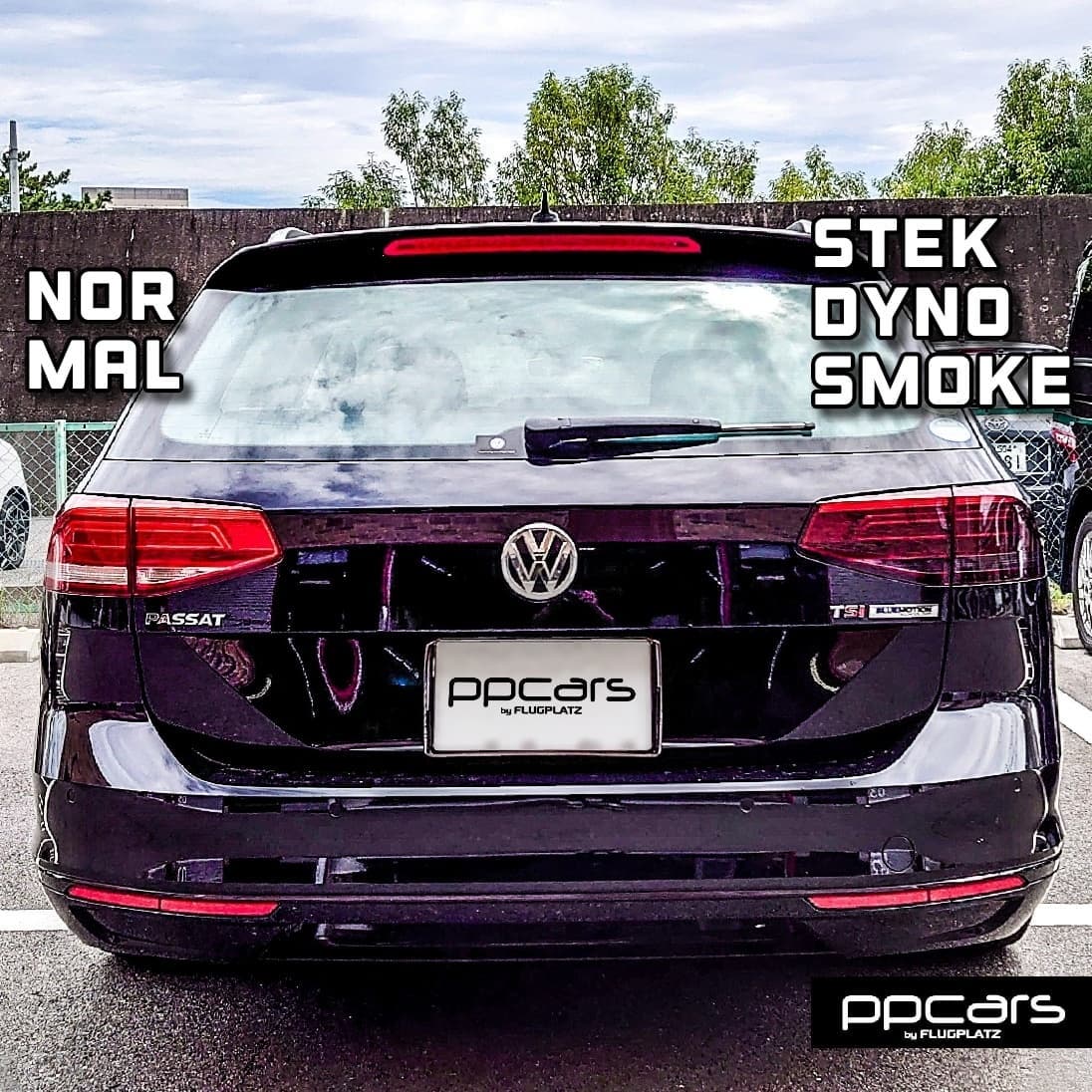 Passat (3G/B8) Variant x STEK Headlight PPF DYNO smoke