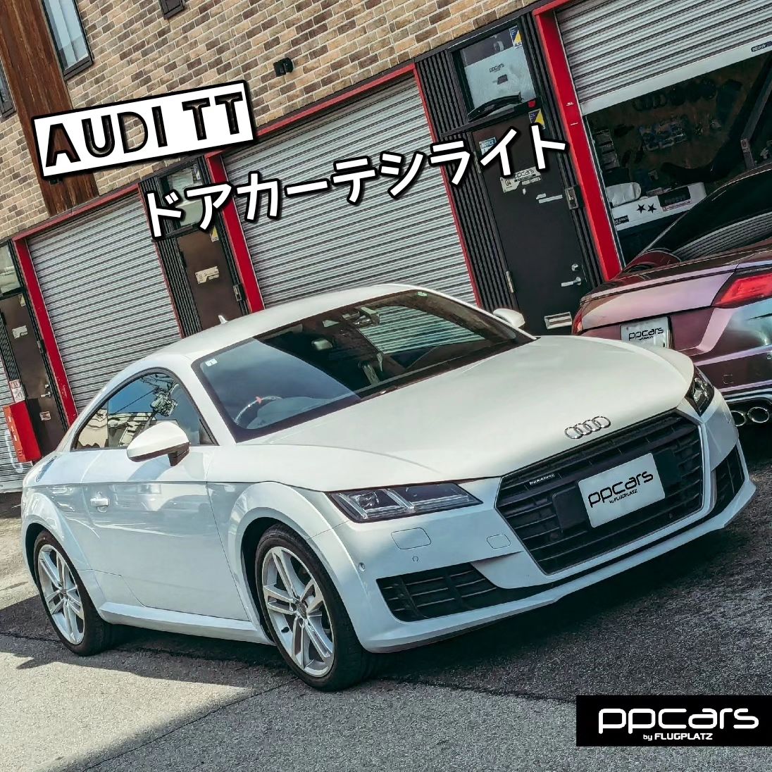 Audi TT(8S) x 4rings&Geckoロゴ カーテシライト